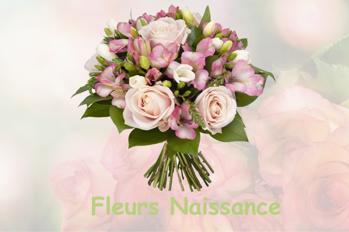 fleurs naissance BOISSISE-LA-BERTRAND