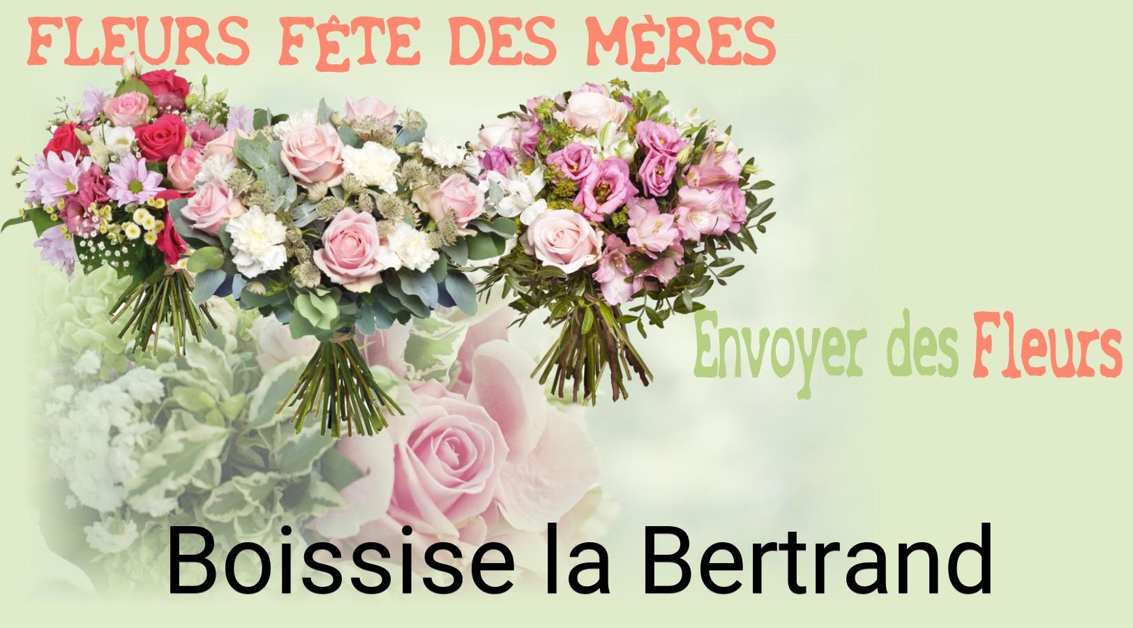 Bouquet de Fête des Mères livré à Boissise-la-Bertrand
